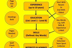 BLOG - INFOGRAPHIC RESUME LAYOUT