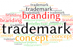 BLOG | TRADEMARK TO BRAND